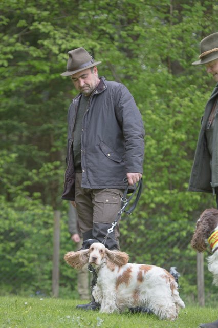 Hundepräsentation 2019